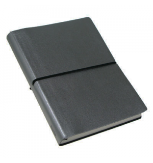 Ciak Silver Large