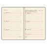 BRAUBERG Plan your week Еженедельник датированный 2024 год А5
