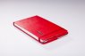 Infolio Euro business I031/red