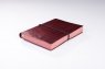 Infolio Voyage I029/brown