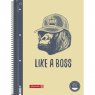 Тетрадь Brunnen Premium Like a Boss в линейку А4