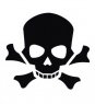 Skull №24. Одиночная наклейка А6