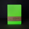 Falafel books Блокнот для записей Falafel Nuclear acid А5