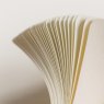 Leuchtturm1917 Medium Soft Cover Composition B5 Sand