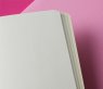 Записная книжка Moleskine Volant (нелинованная, 2 шт.), Large, изумрудная