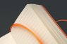 Rhodia Webnotebook Silver Pocket