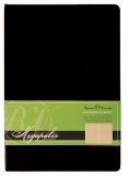 Недатированный ежедневник Bruno Visconti Megapolis Black