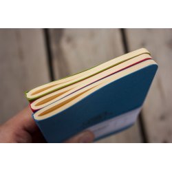 Falafel books Dinosaurs А5 Falafel books Dinosaurs А5