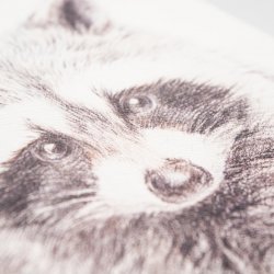 ЕжеWeeka Енот (записная книжка в клетку) A5 ЕжеWeeka Енот (записная книжка в клетку) A5