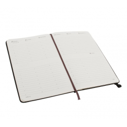 Еженедельник Moleskine Classic (вертикальный, 2013), Large, черный