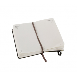 Ежедневник Moleskine Classic (2013), Pocket, черный