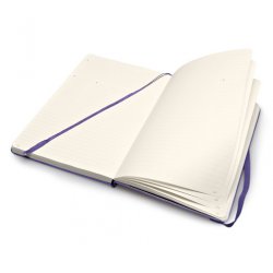 Записная книжка Moleskine Professional (в линейку), Large, фиолетовая Записная книжка Moleskine Professional (в линейку), Large, фиолетовая